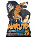 Naruto, Vol. 25: Brothers