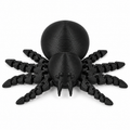 Articulated Cute Spider