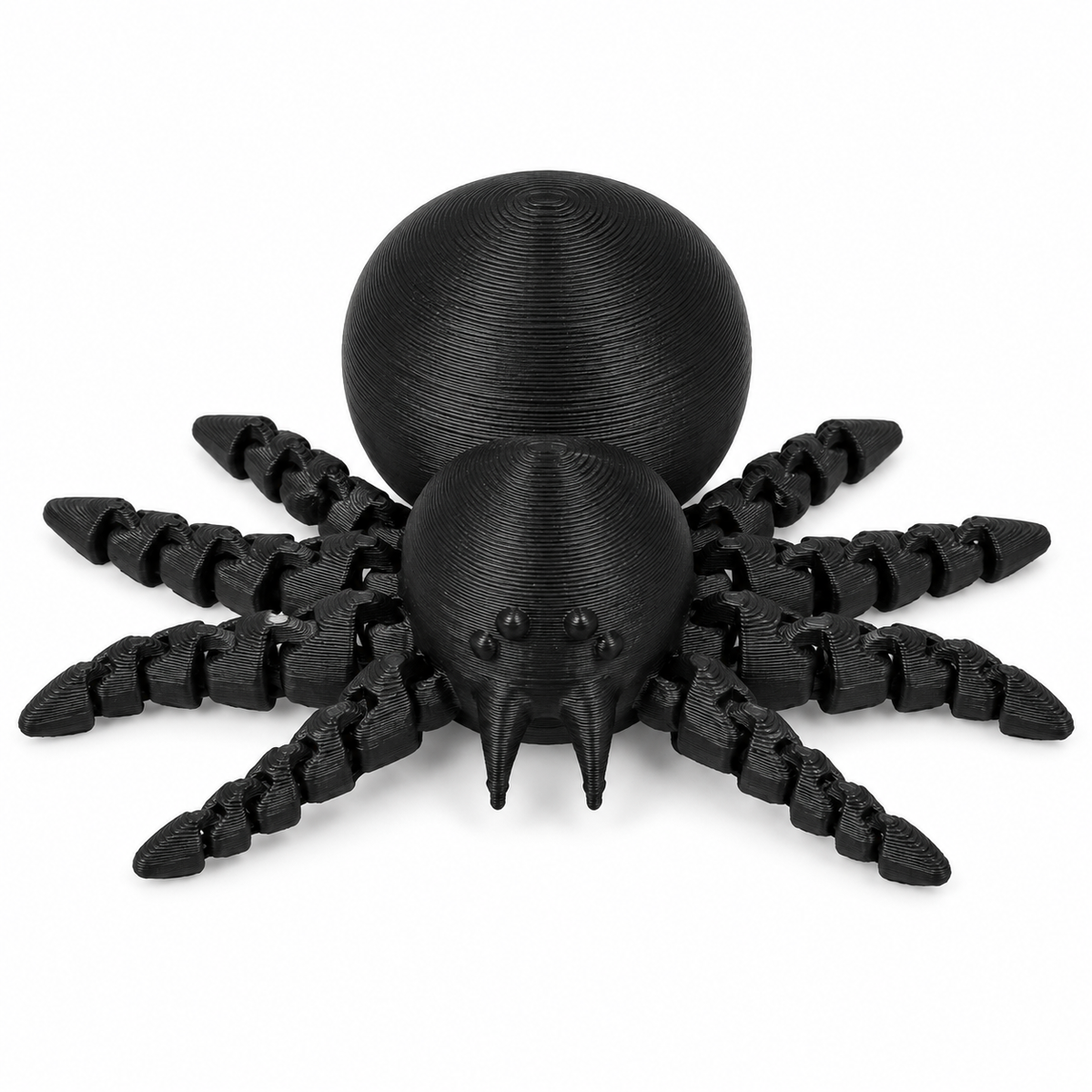 Articulated Cute Spider